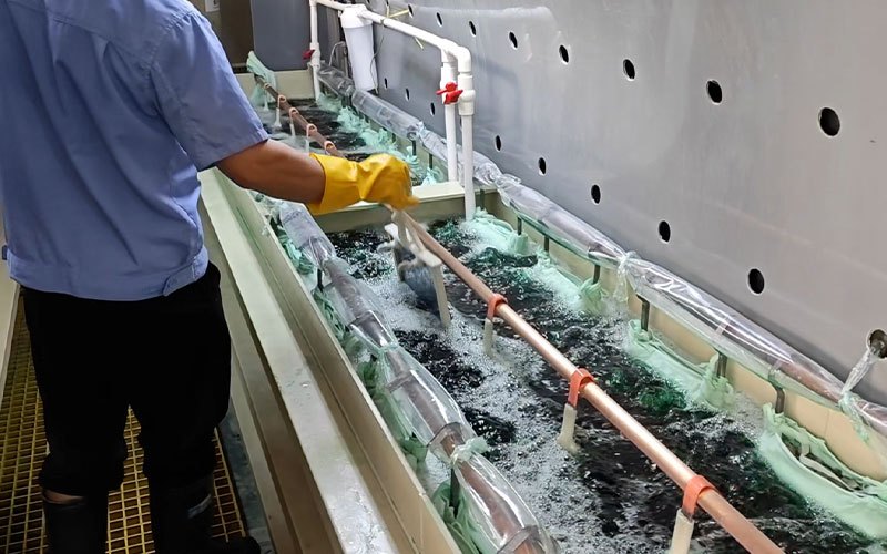 Nickel electroforming process